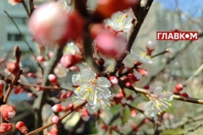 It is cloudy in Ukraine with clearings: weather forecast for May 26