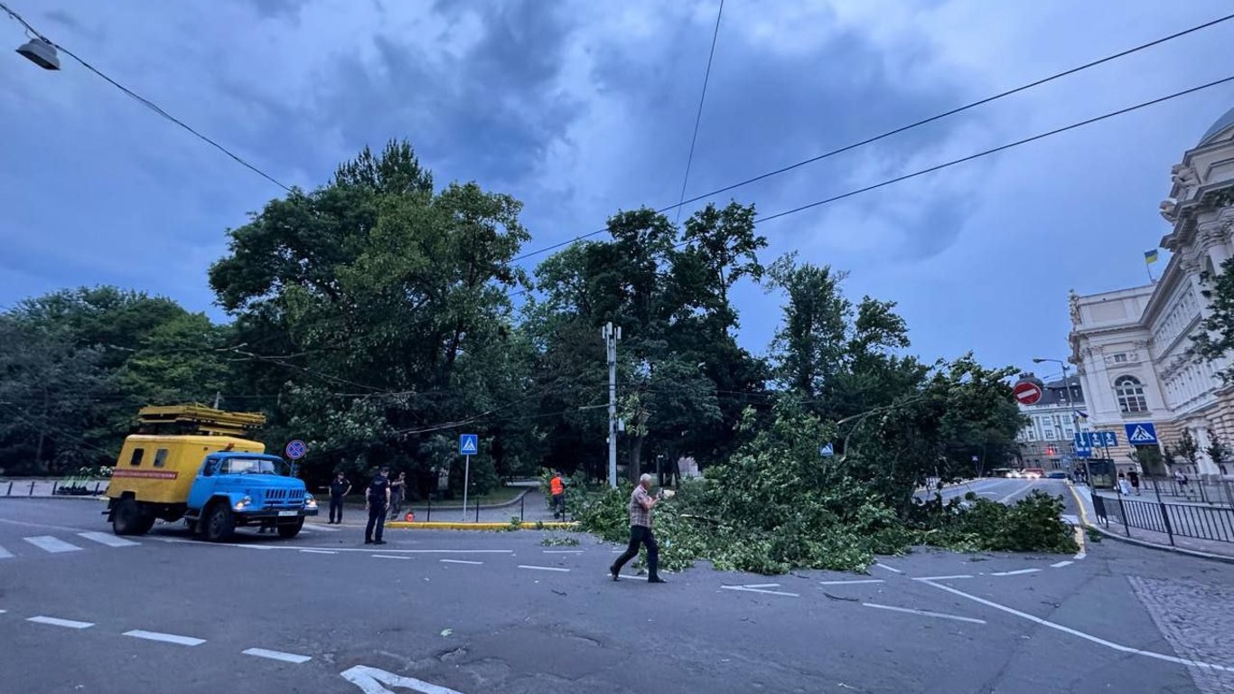 Шквальний вітер та потужна гроза накрили Львів — відео